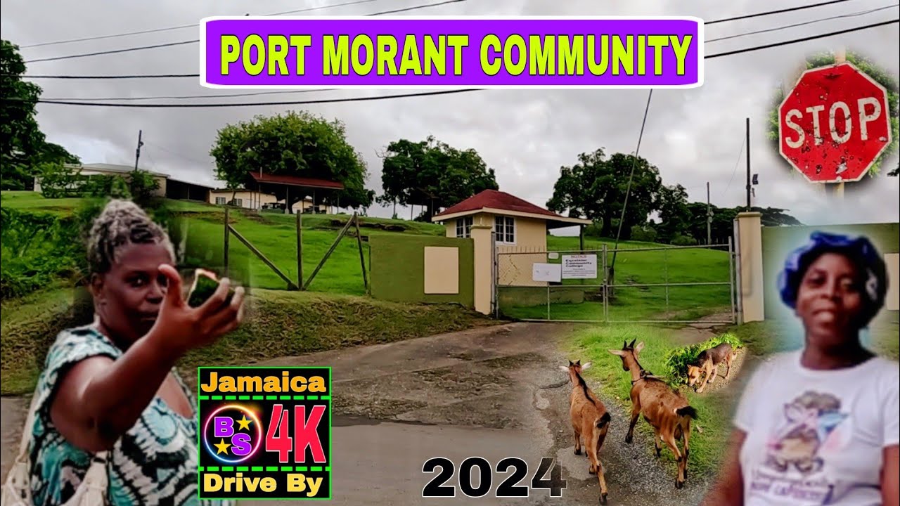 LOYAL Subscribe Takes Me On A Tour Of Port Morant Community St Thomas Jamaica 🇯🇲