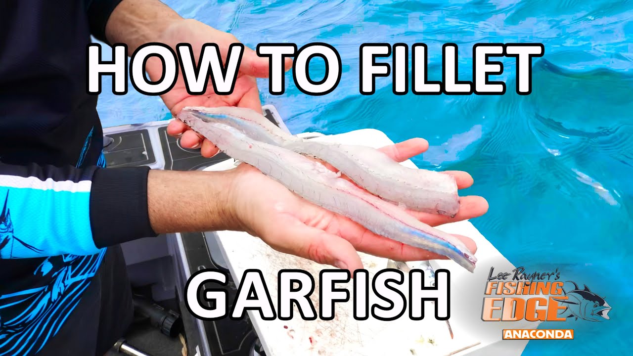 How To Fillet Garfish