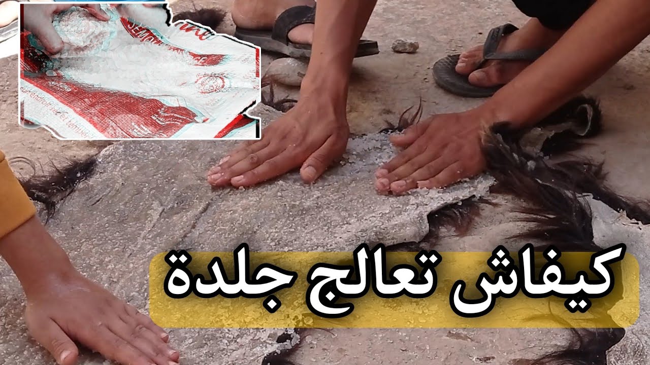 أسهل طريقة تعالج بيها جلود🤔 إلى كيتنتفو ليك او كيفاش تخلي جلود ماينتفوش ليك (Boujloud Bilmawn)😱😱
