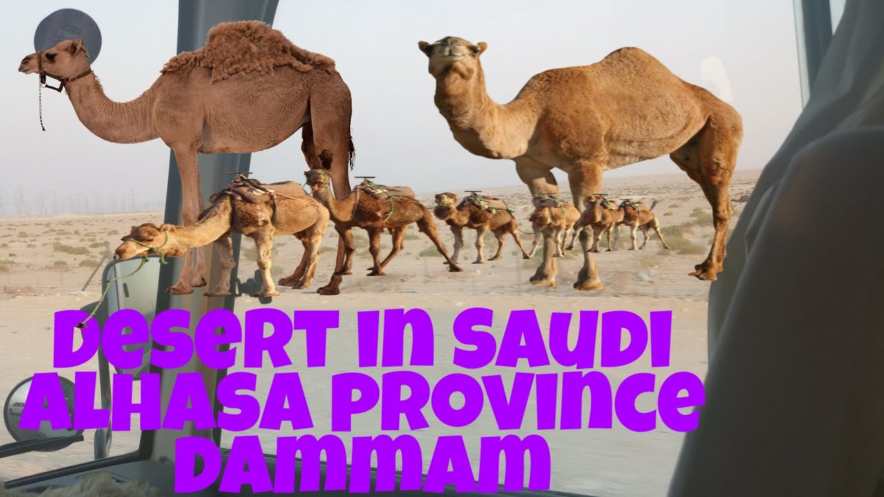 Going alhasa mall deserto in Saudi
