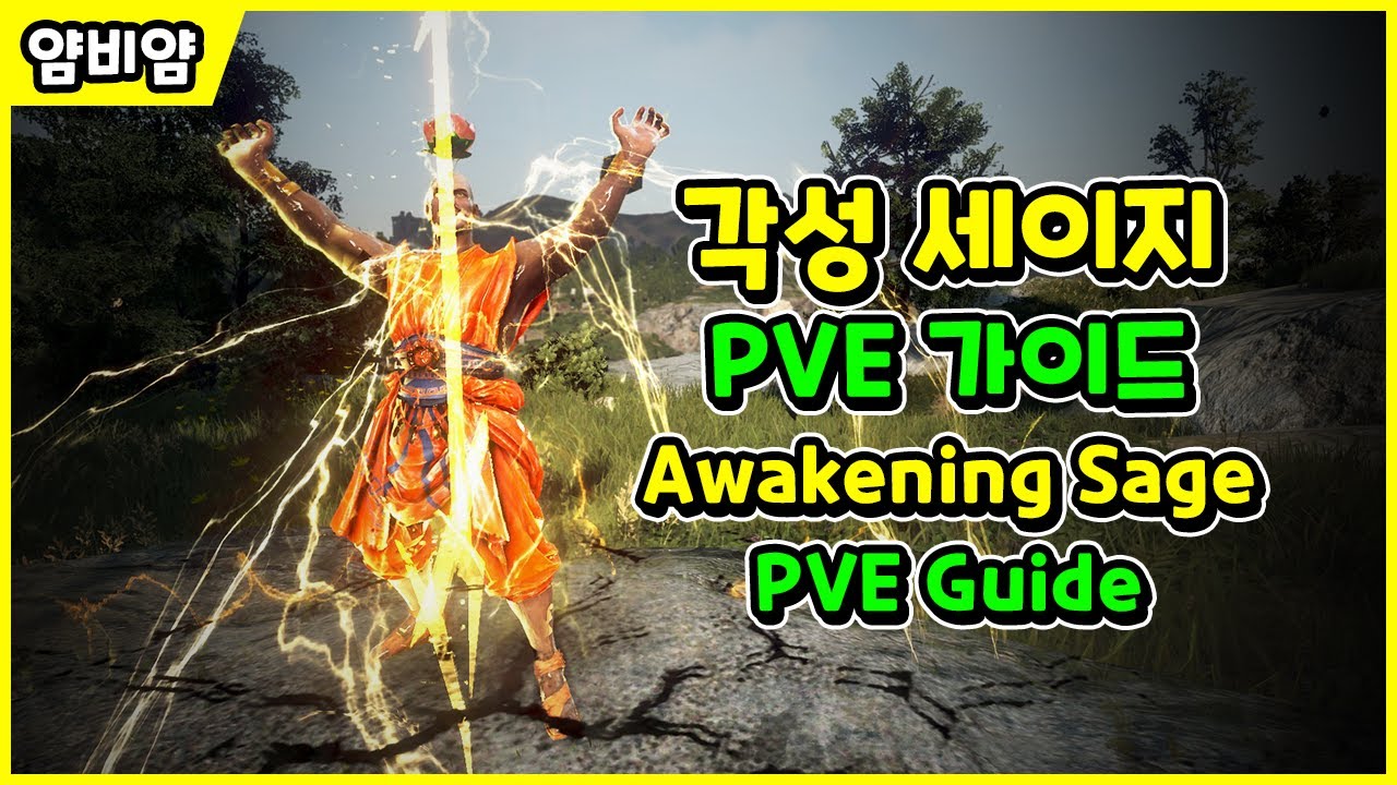 【검은사막】각성 세이지 | PVE 가이드 | Awakening Sage | PVE Guide