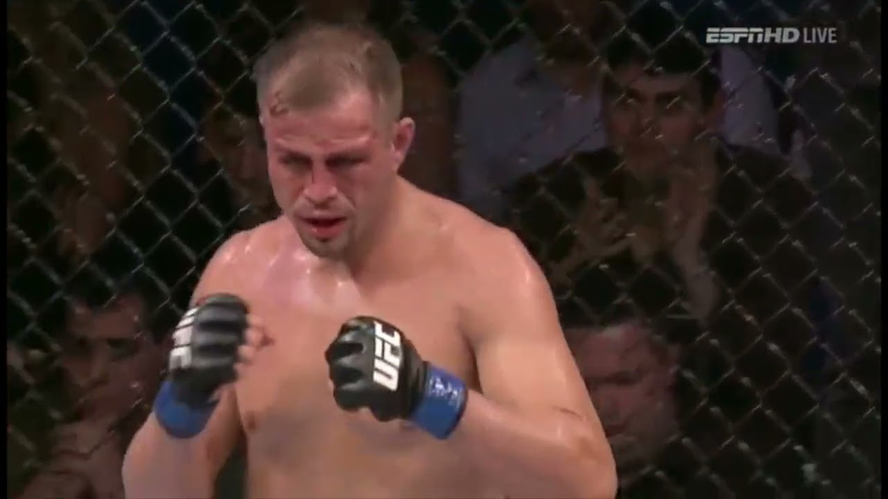 Glover Teixeira vs. Fabio Maldonado Highlights