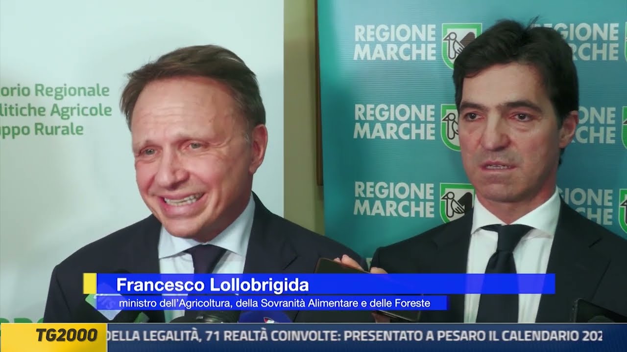 Tg2000 17 febbraio 2026