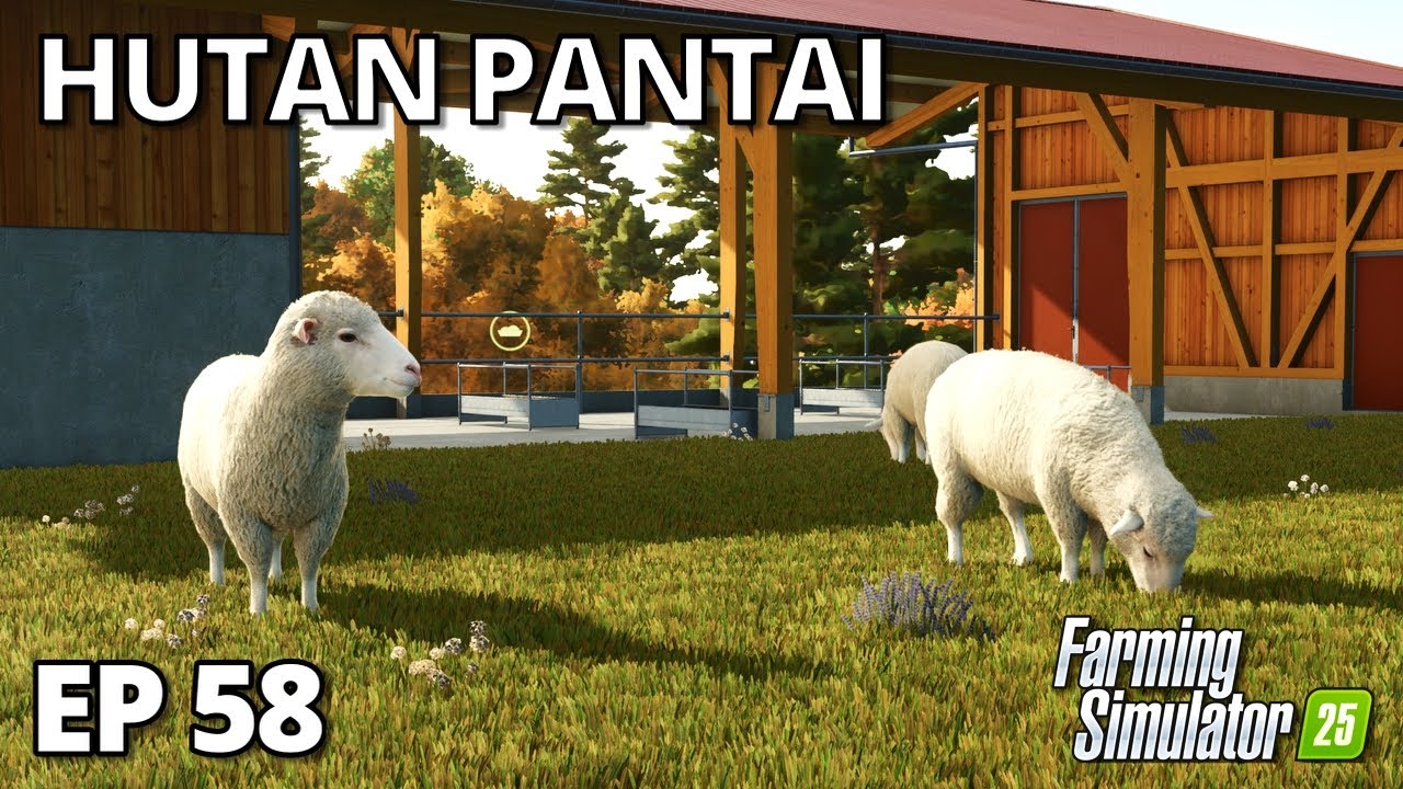 WE ADDED SHEEP TO OUR GROWING FARM | Farming Simulator 25 - Hutan Pantai | Episode 58