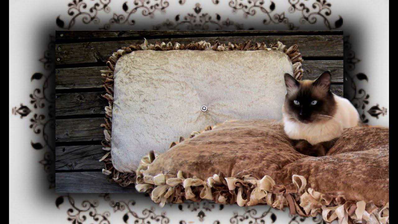 DIY 😻 Knoten Kuschelkissen für Katzen & Hunde | Handmade No sew cat bed