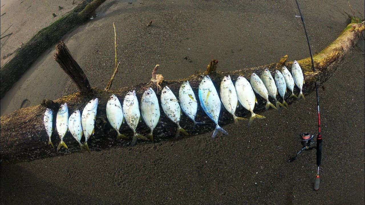 GACORR‼️IKAN DI SPOT INI MEMANG GAK ADA HABISNYA 😱