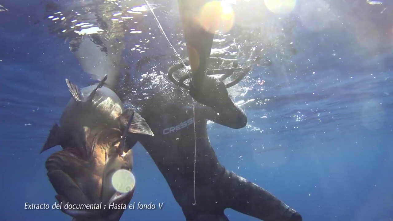 Pesca Profunda del Mero: t&aacute;ctica acercamiento