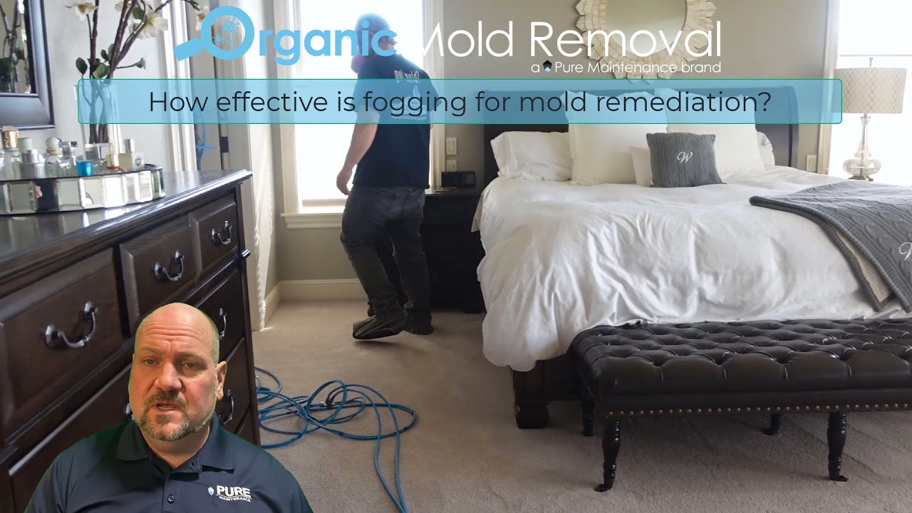 Organic Mold Removal | How effective is fogging for mold remediation?