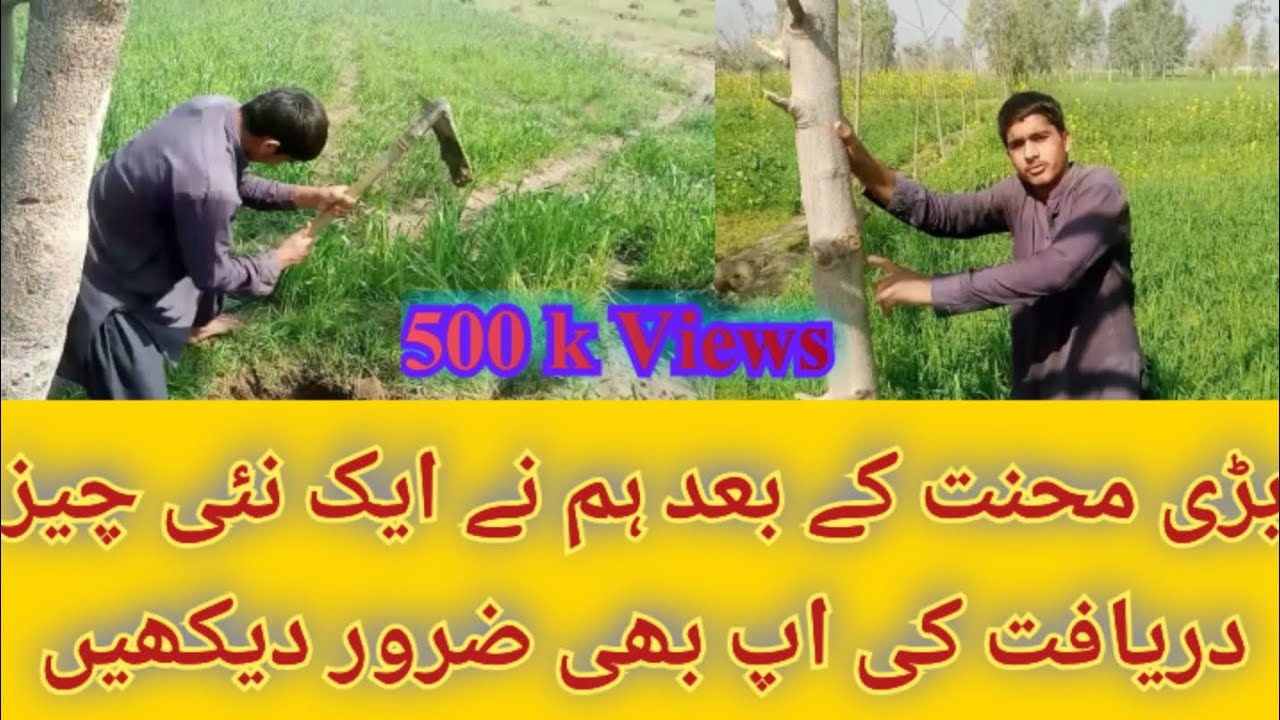 بڑی دریافت کے بعد ہم نے ایک نئی چیز دریافت کی اپ بھی ضرور دیکھیں