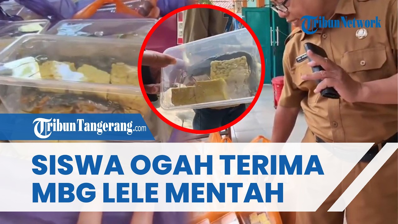 VIRAL Siswa Pamekasan Tolak Menu MBG Lele Mentah Berbau Amis, Sekolah Kembalikan Ribuan Porsi