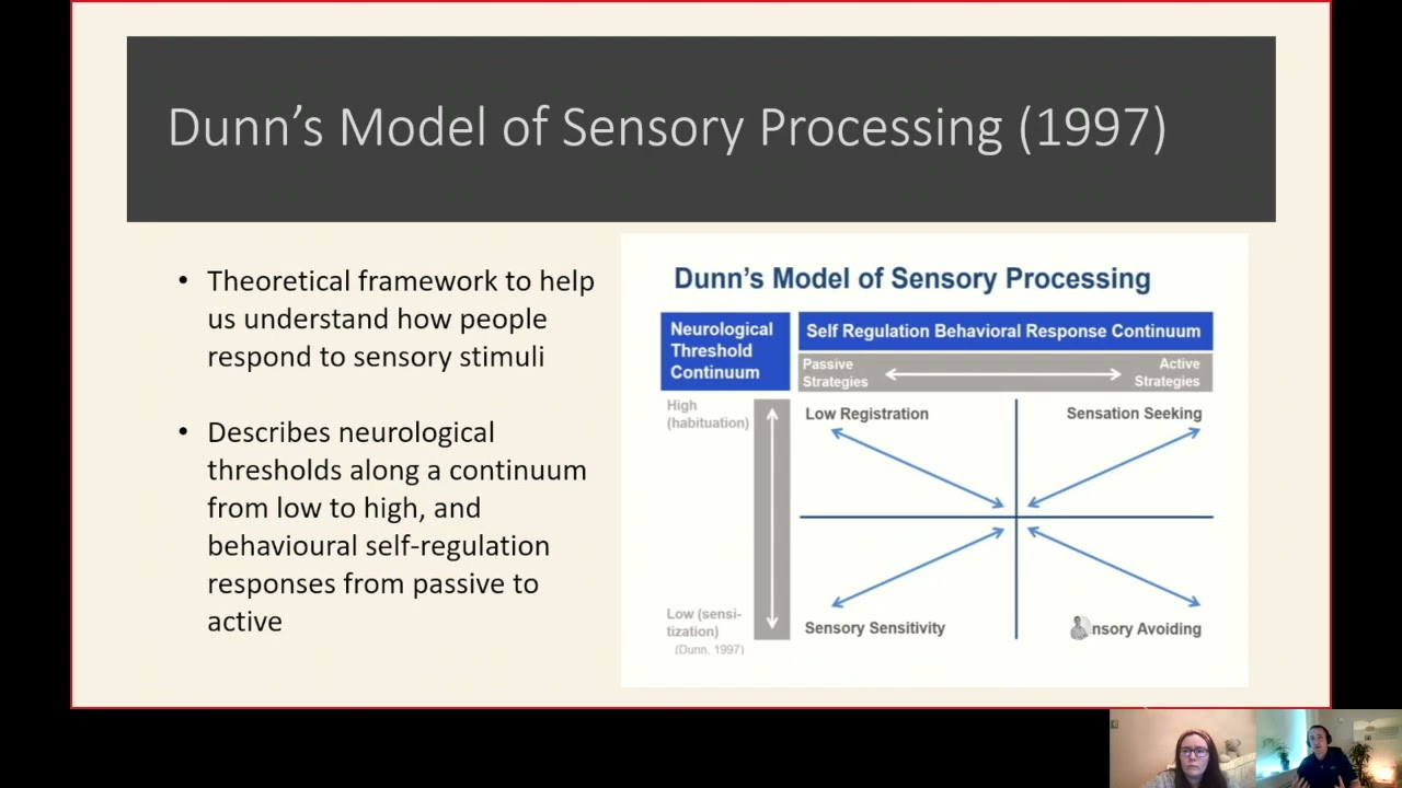 Dunn's Model of Sensory Processing