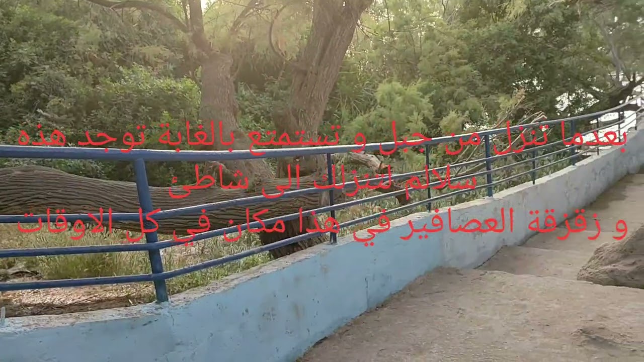 شاطئ عين الفرانين ❤ وهران ❤ الجزائر