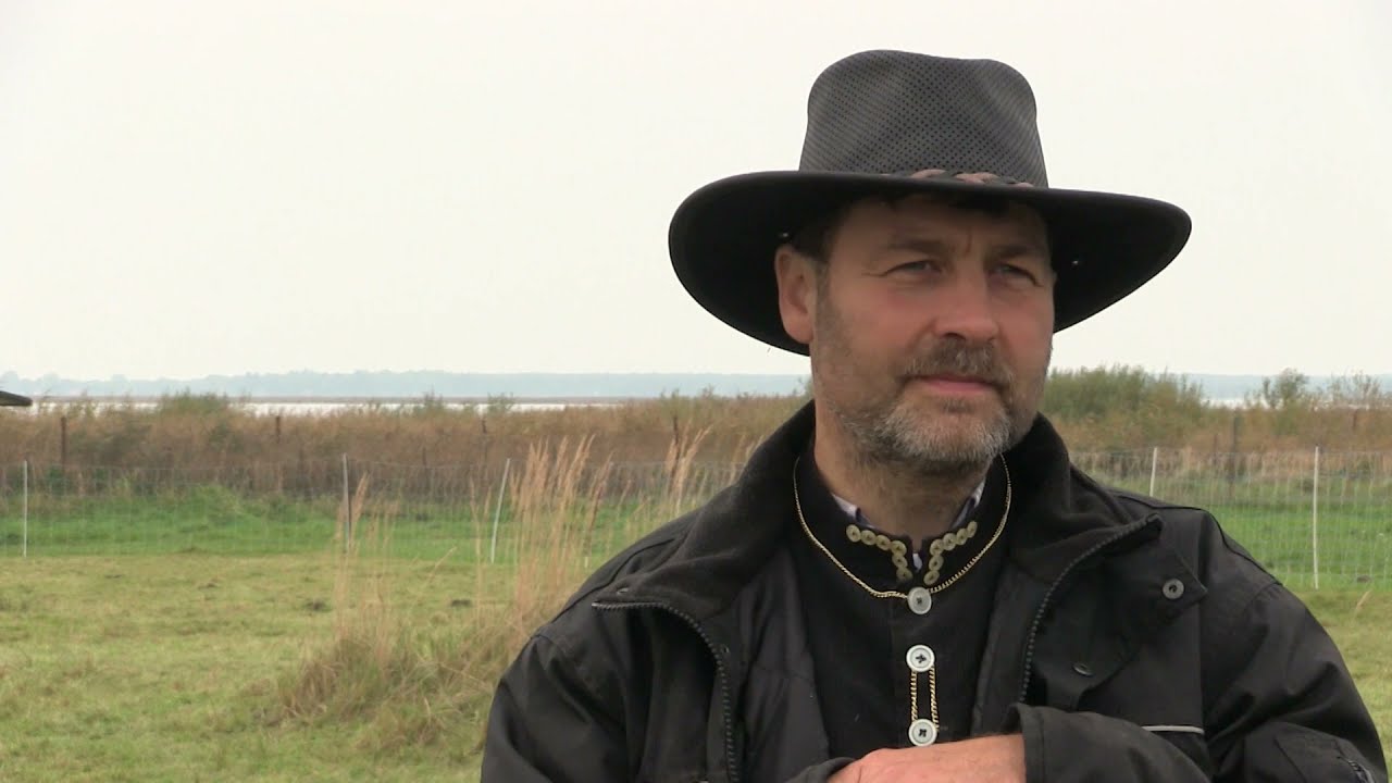 Bio- Schäferei Will