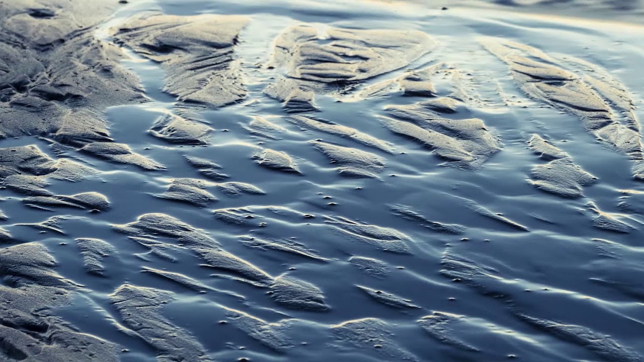 De Wereld van het WAD - Het getij (Vo)