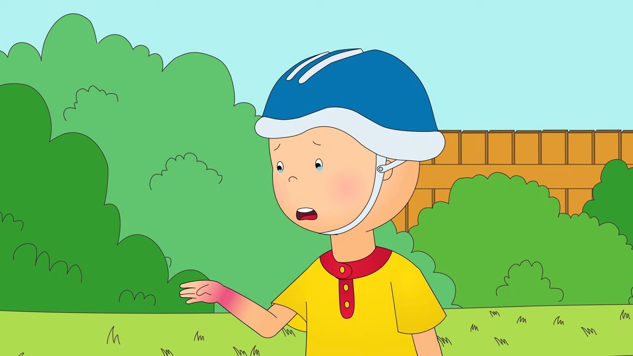 Kaykay günü! | Çocuklar için çizgi filmler | Caillou Türkçe