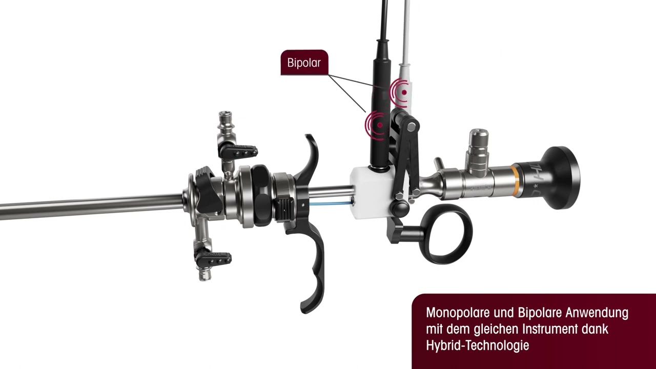 Princess Resection System