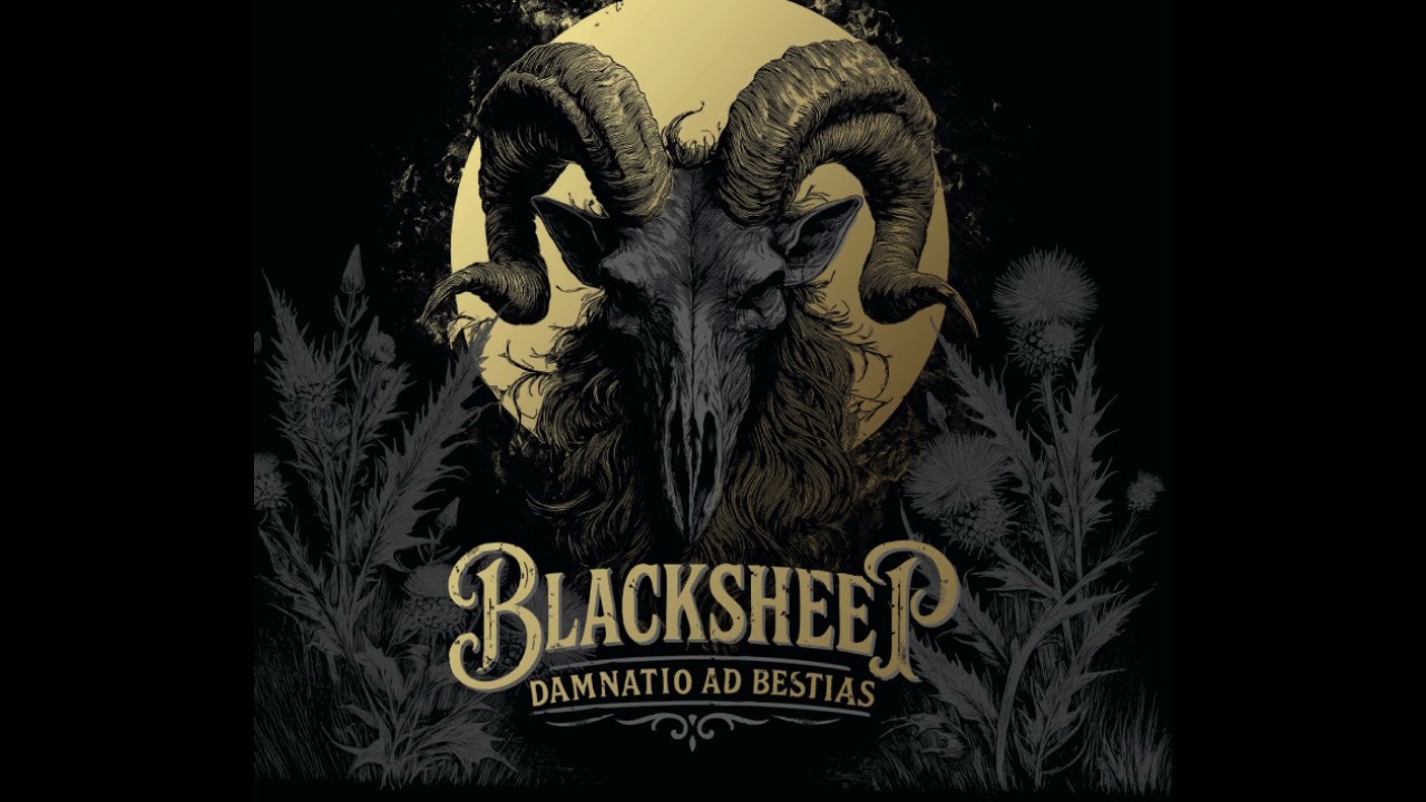 Pµssy Brothers /BLACKSHEEP