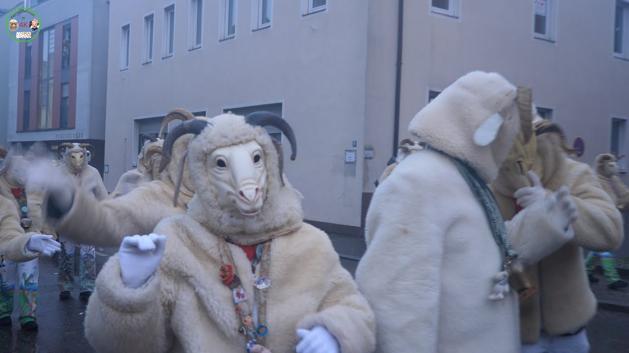 Fasnet, Narrentreffen in Sigmaringen Teil4
