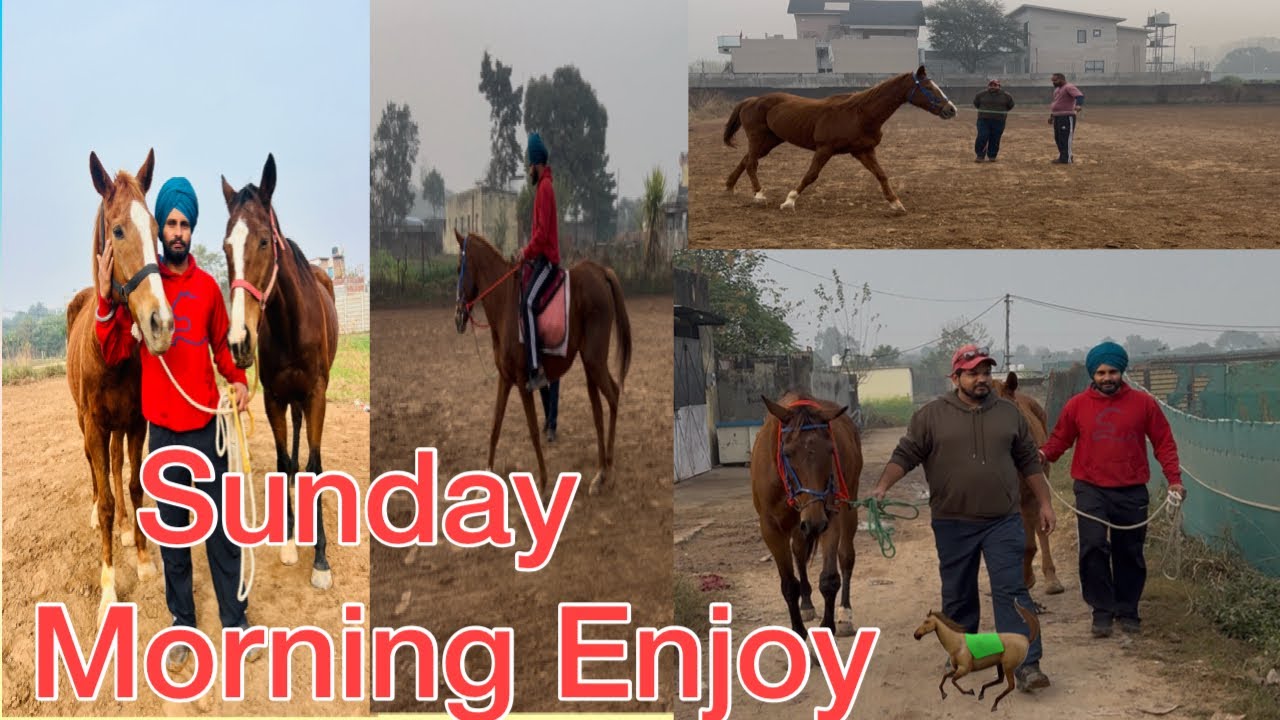 Sunday Morning Enjoy 🐎 Part #1 