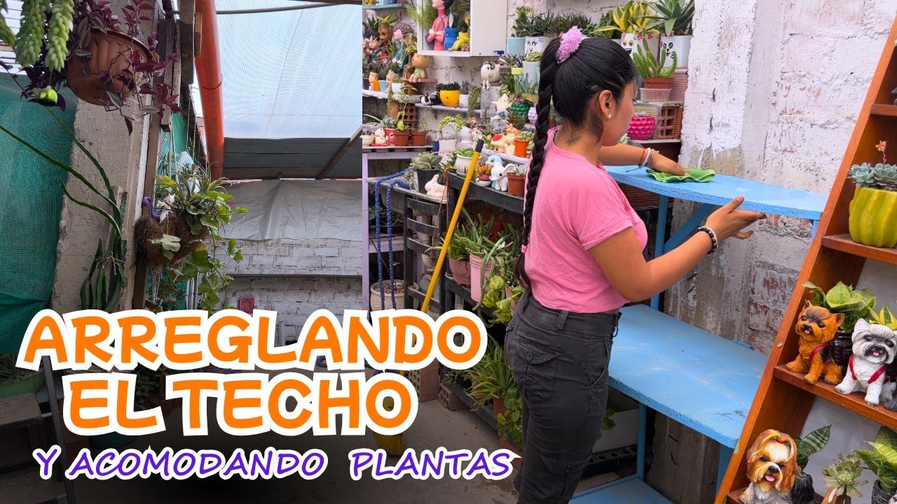 😱 Le puse techo de policarbonato e mi jardín! y reacomodando TODO🌿 te cuento como inicio mi JARDÍN😋