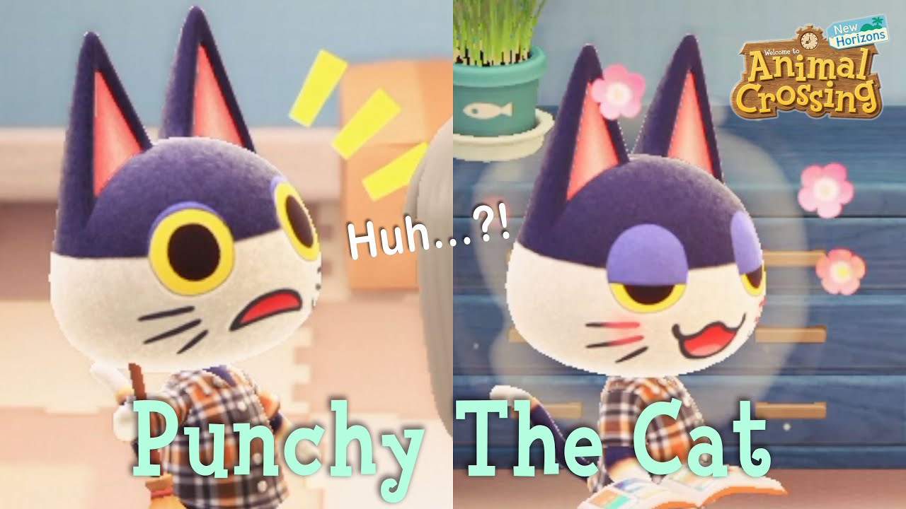 Punchy The Cat Lazy Villager Animal Crossing New Horizons ACNH