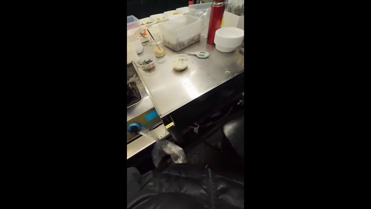 Uncut POV | Rice Noodle Stir-Fry & Plating | Real-Time Vendor Rhythm