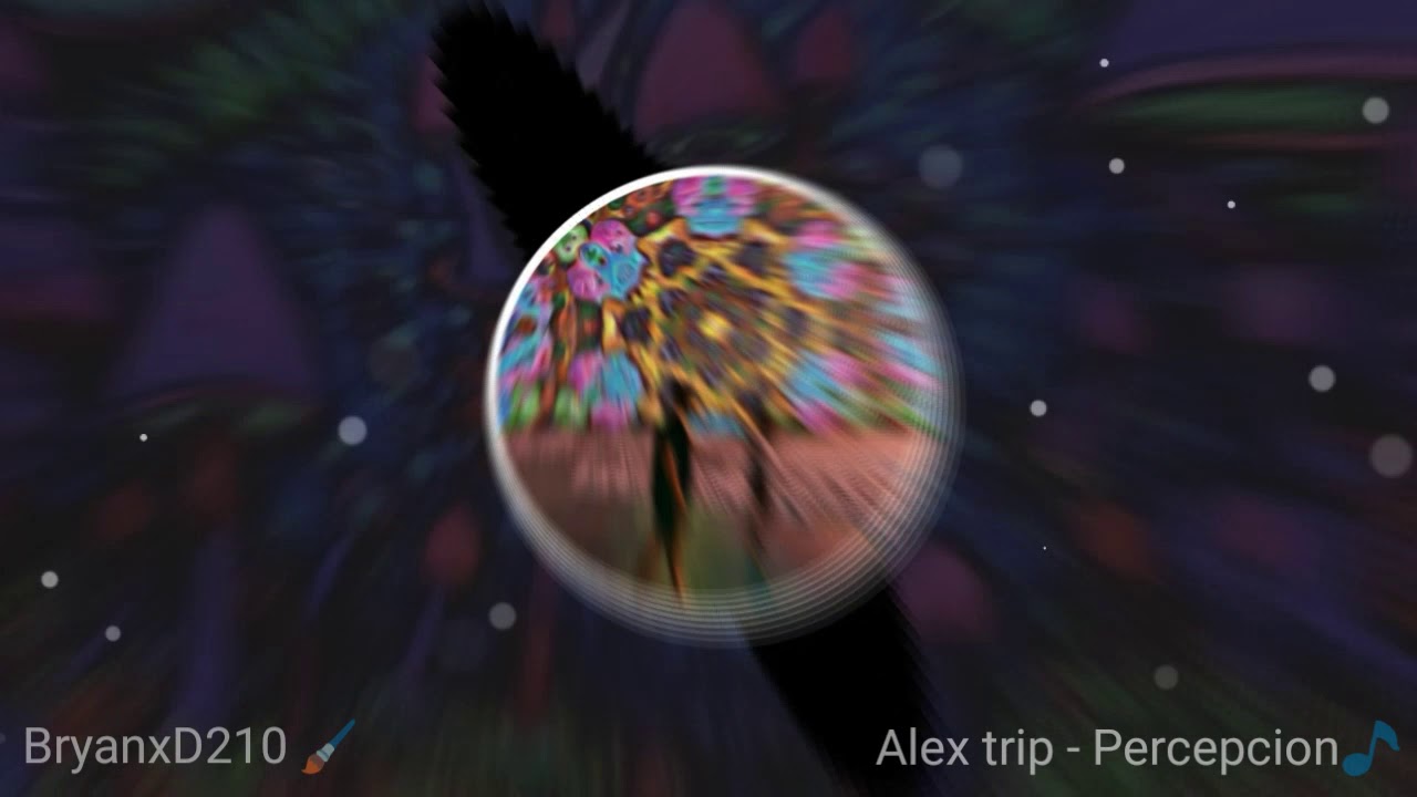Alex trip - Percepcion