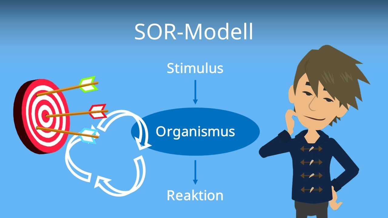 SOR Modell (Marketing) - Konsumverhalten und Blackbox am Beispiel erklärt!