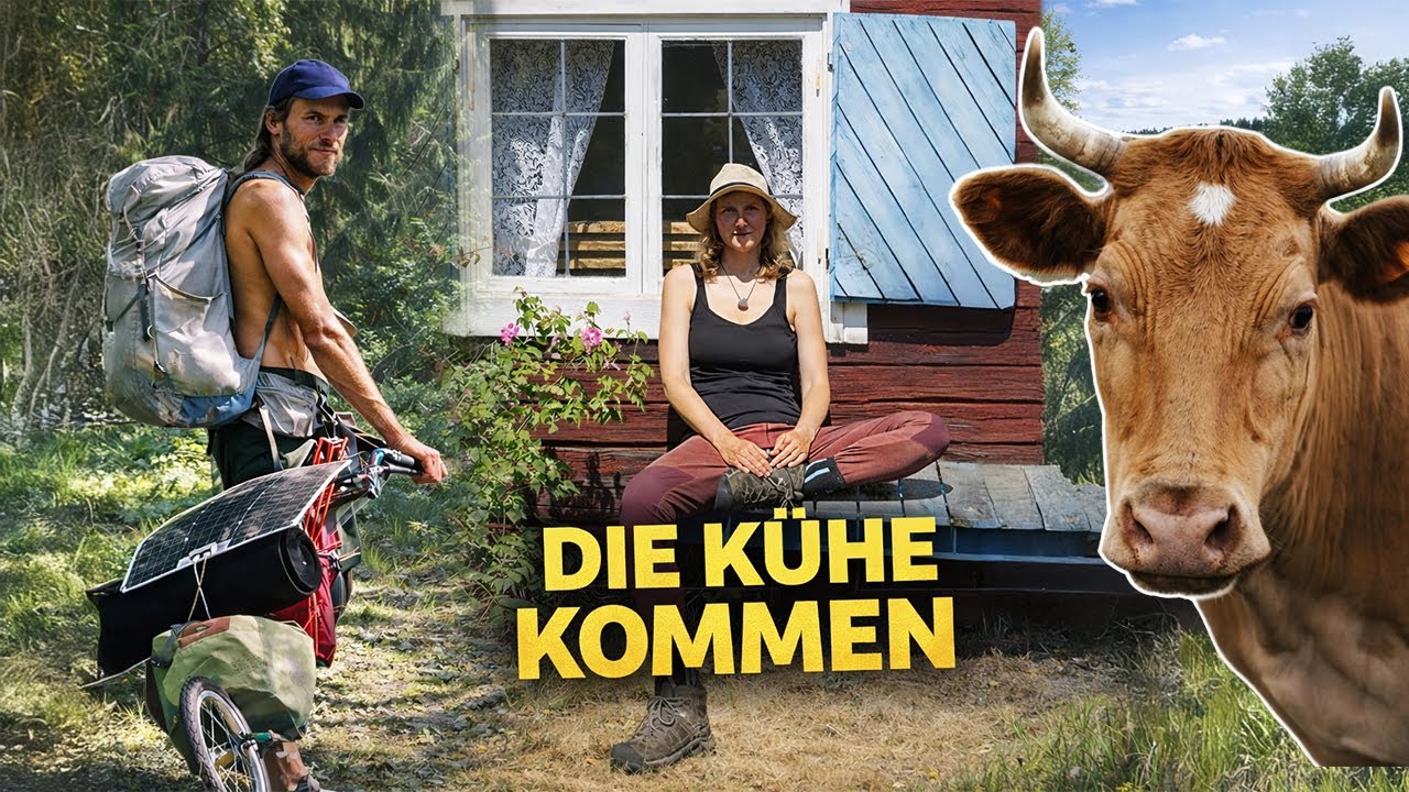 Von Kühen verfolgt – plötzlich wird es gefährlich | Folge 18