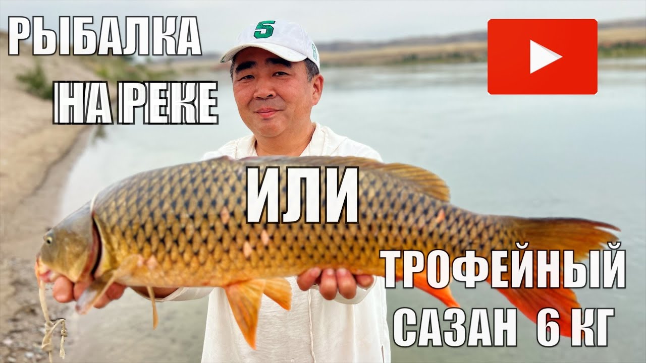 РЫБАЛКА НА РЕКЕ ИЛИ  НОВОЕ МЕСТО РАЗДАЕТ ТРОФЕИ. САЗАН НА 6 КГ . ИЮЛЬ 2024