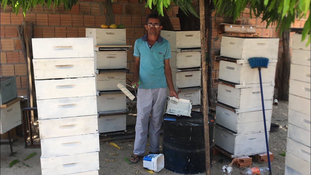 Como pintar suas caixas de abelhas simples