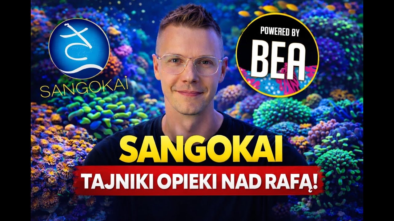 SANGOKAI i BEA pod lupą 🔍 Czy to działa w praktyce?
