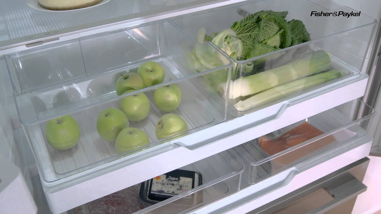 Fisher & Paykel Fridge Freezer Overview