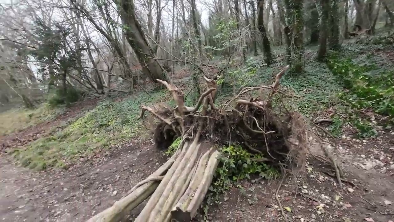 Arundel, England Swanbourne Lake Walking Tour UHD
