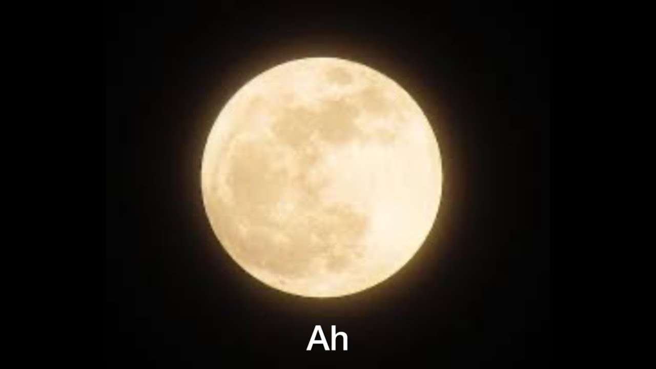 【後半】デザインあ展neo展いってきた