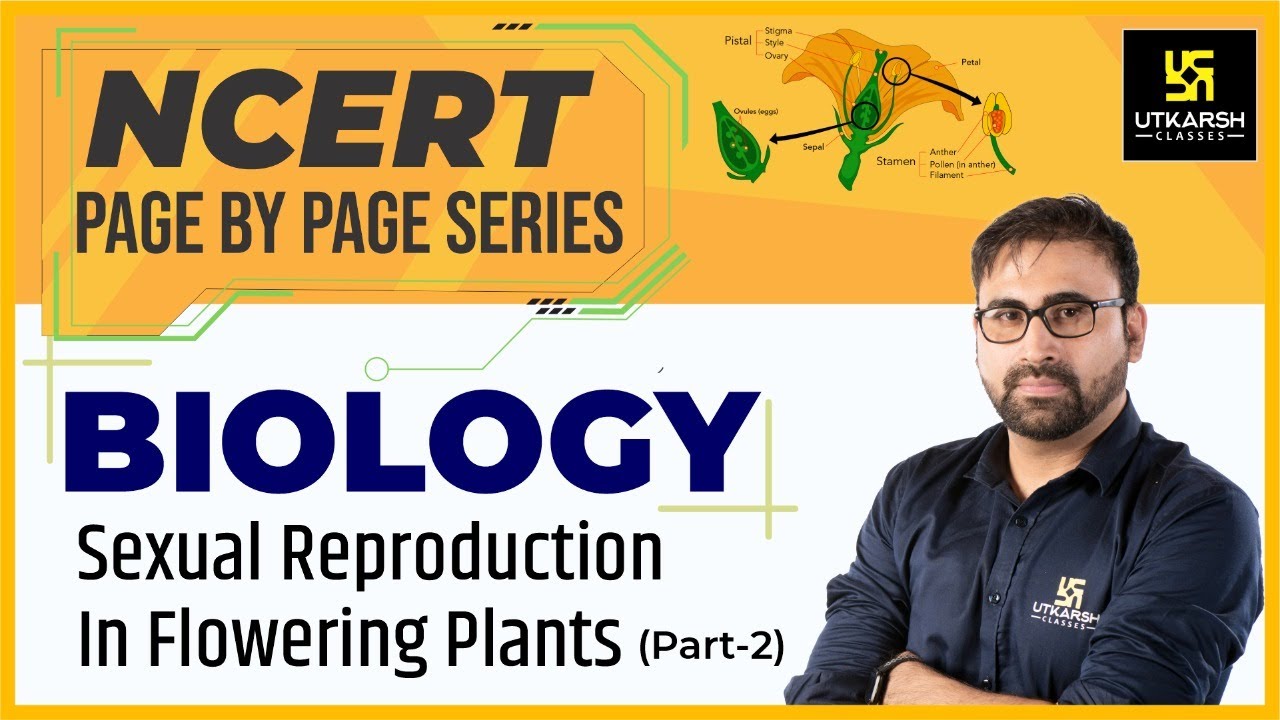 Sexual Reproduction in Flowering Plants (2) | NCERT Page By Page | Biology | By Pratham Nahata Sir