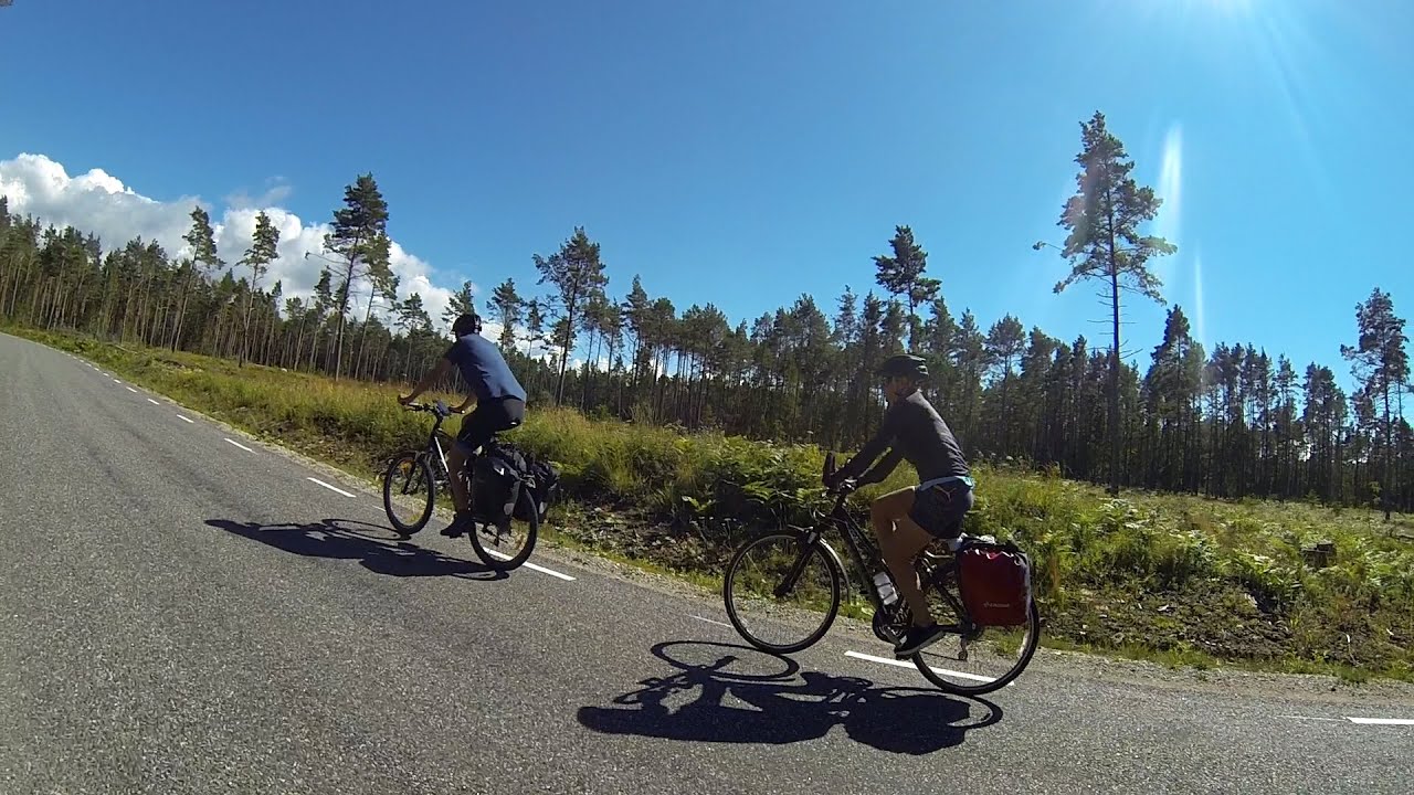 Estonia na rowerach (2020)