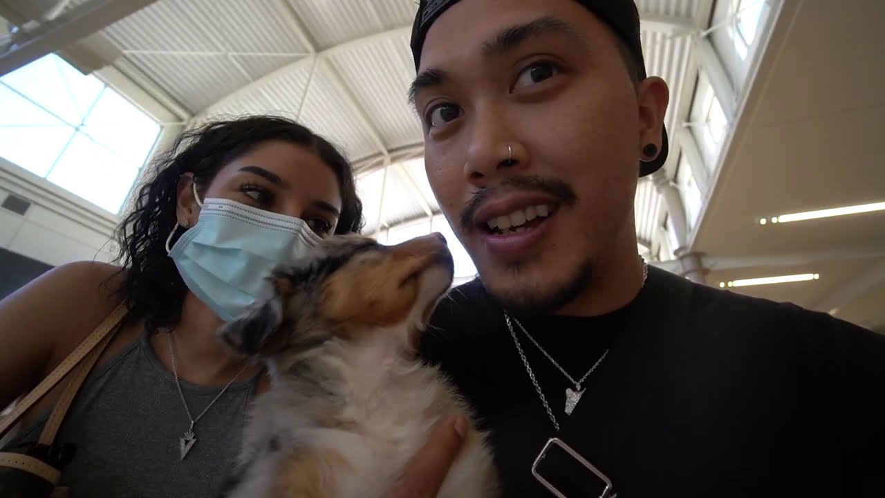 I Surprised My Girlfriend with A New PUPPY!
