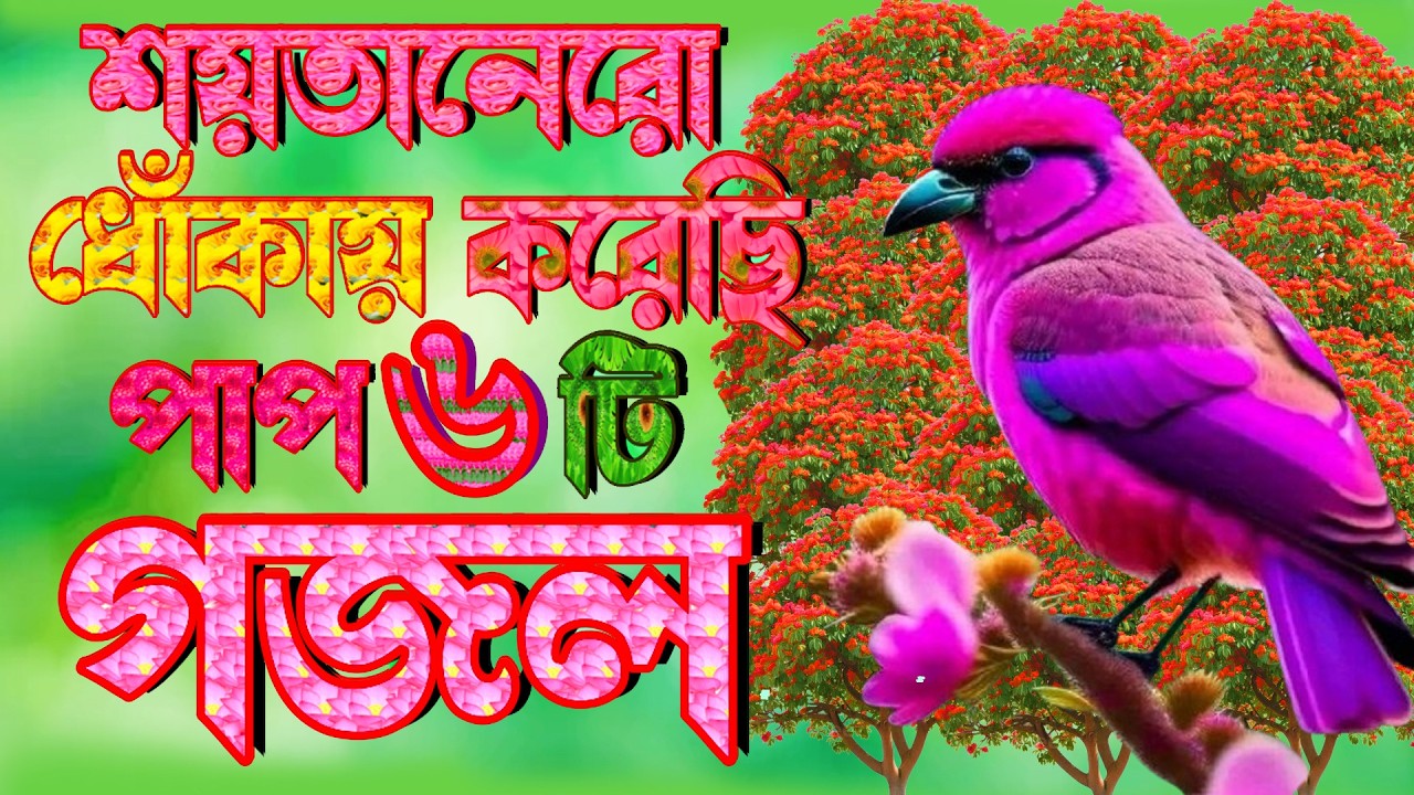 রমজানের নতুন গজল, রোজার গুনাহ মাফের গজল |Ramadan Gojol |Romjan Gazal |Best Romjan Gazal