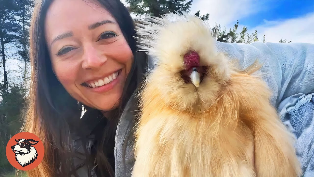 This Silkie Chicken Thinks He&rsquo;s a Dog &mdash; You Won&rsquo;t Believe His Dance for Mom
