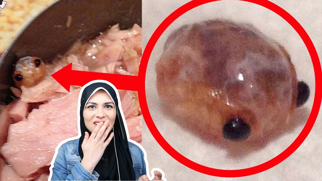 لقيت كائن غريب في علبة التونة! 😩😰
