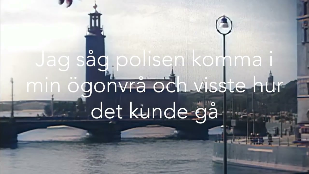 Broder Henrik Rapp - Monica, Beppe och jag (lyrikvideo)