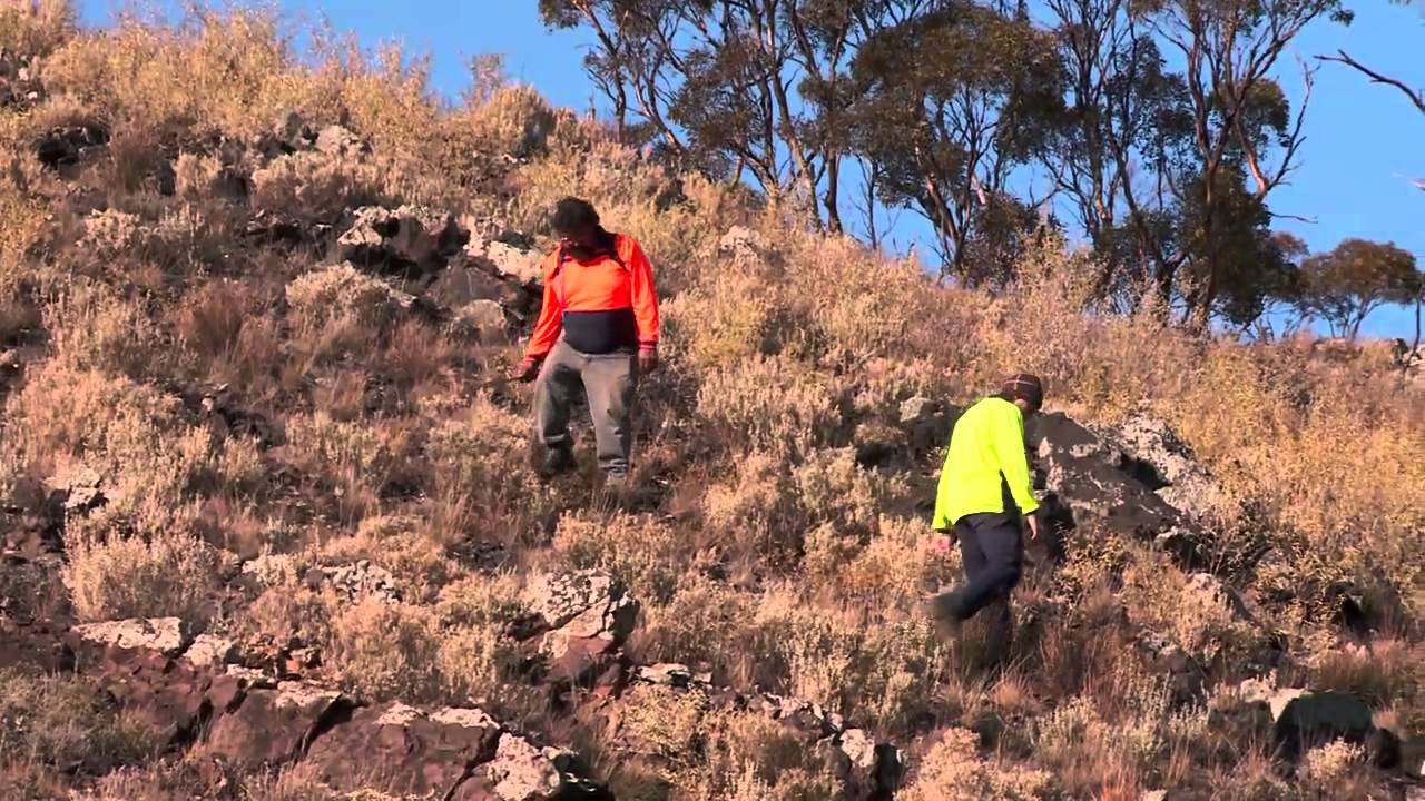Aboriginal Heritage Training and Safety Video