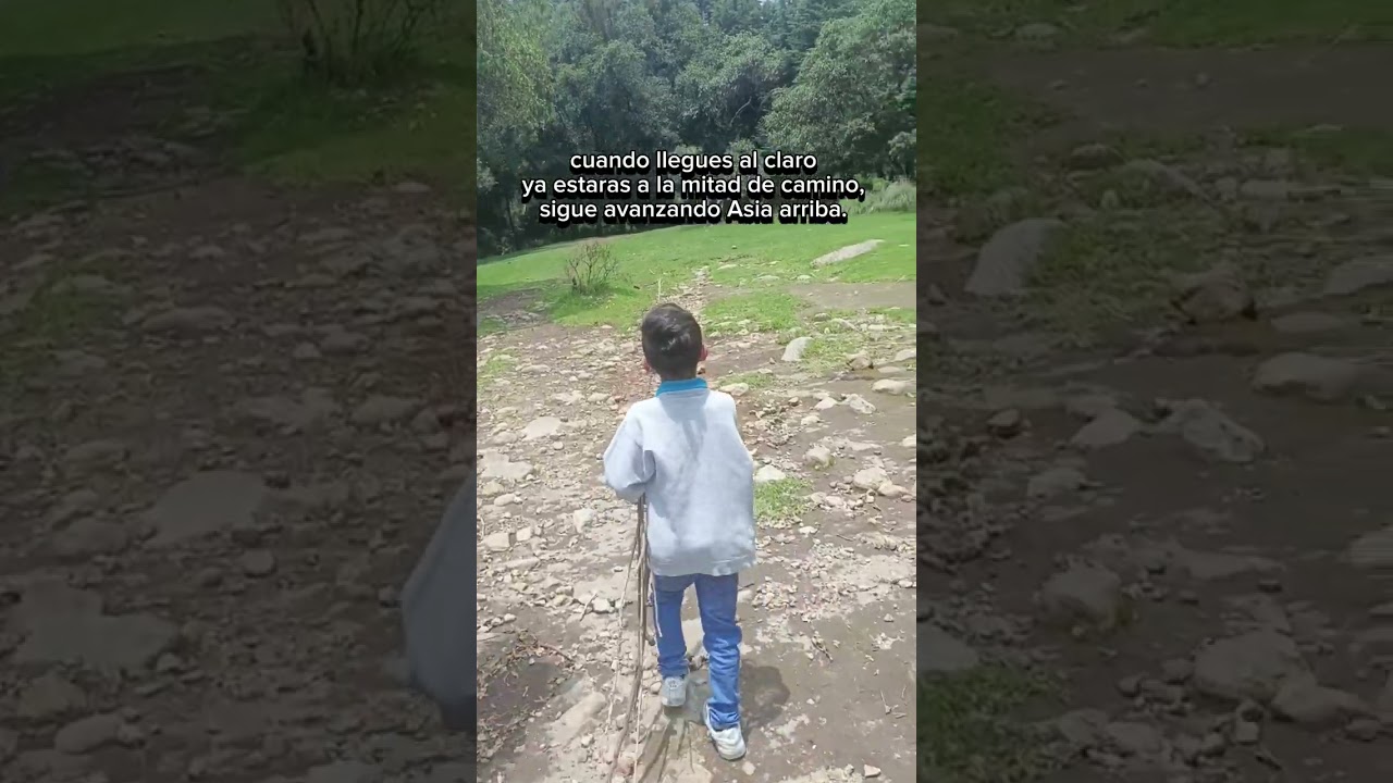 Como llegar al segundo dinamo
