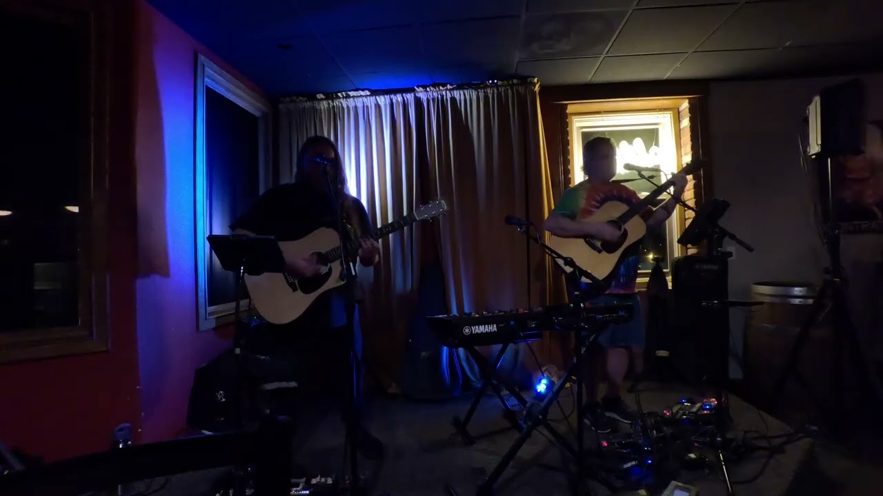 Seagull (cover)
