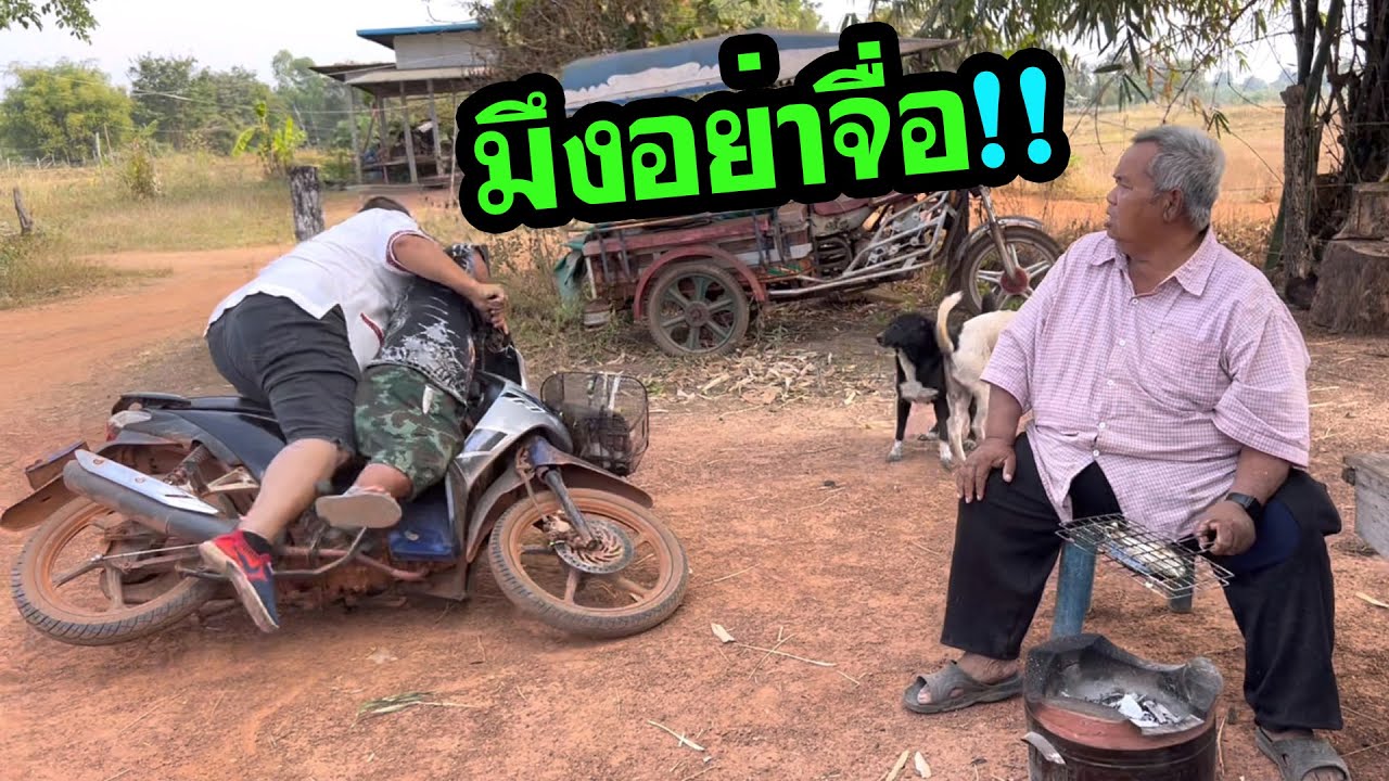 หงายท้องเลยจารป่องขับมอไซ หมูล้ม เกือบได้ส่งโรงบาล