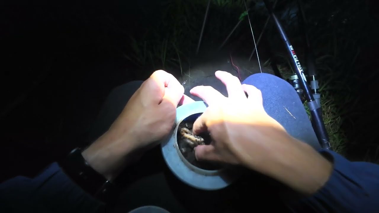 Naktinė ungurių žvejyba dugninėmis ir netikėtas laimikis