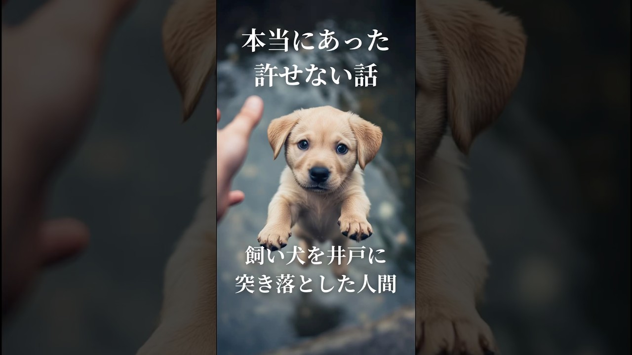 【実話】井戸に捨てられた犬 #shorts #捨て犬 #保護犬 #野良犬 #殺処分ゼロ #doglover
