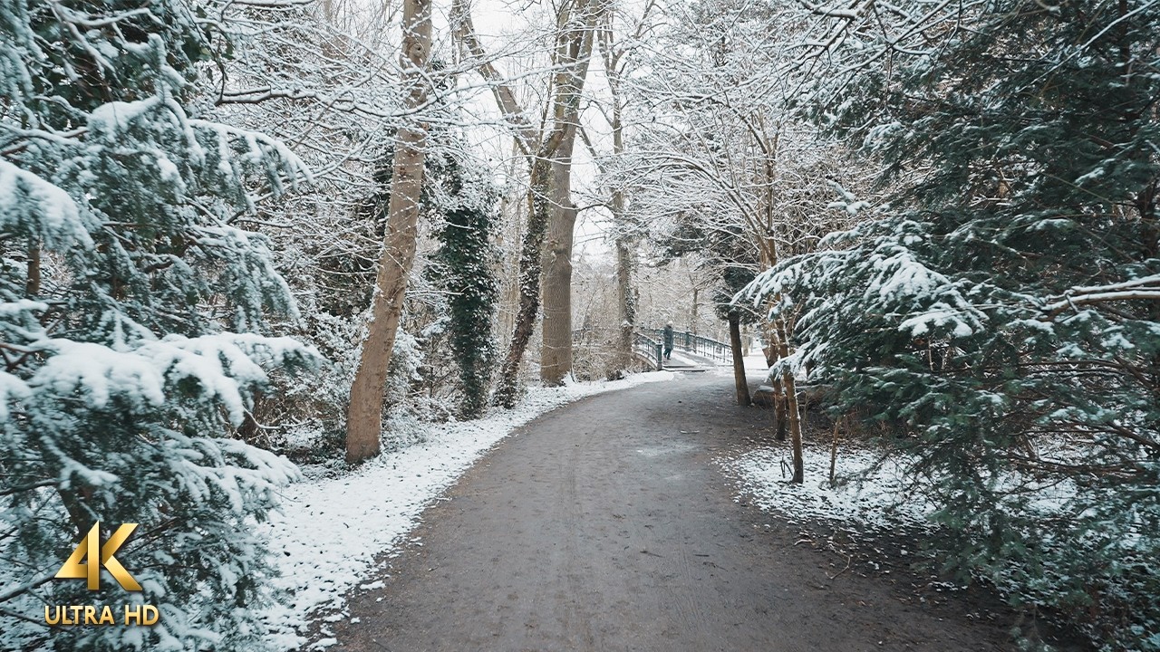 Snowy Walk in Vondelpark, Amsterdam • Slow TV 4K