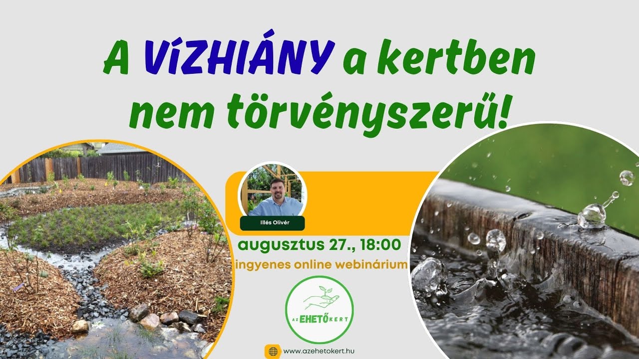 V&iacute;zgazd&aacute;lkod&aacute;s term&eacute;szetk&ouml;zelien  - avagy csapad&eacute;k v&iacute;z hasznos&iacute;t&aacute;s permakult&uacute;r&aacute;s szemmel